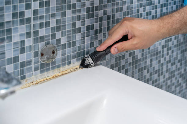 Best Mold Removal Near Me  in Laware City, DE